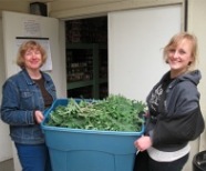 harvest kale march bring into food bank1_4633